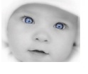 img3.jpg img3.jpg